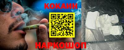 индика Лесосибирск