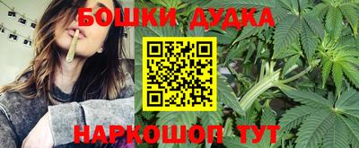 индика Лесосибирск