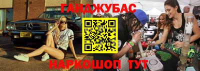 индика Лесосибирск