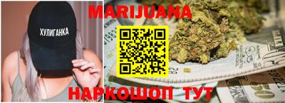 индика Лесосибирск