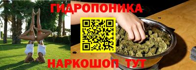 индика Лесосибирск