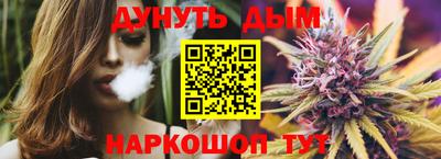 индика Лесосибирск