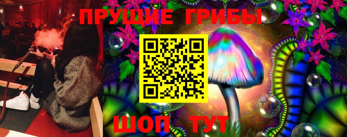 Галлюциногенные грибы Cubensis Зеленодольск