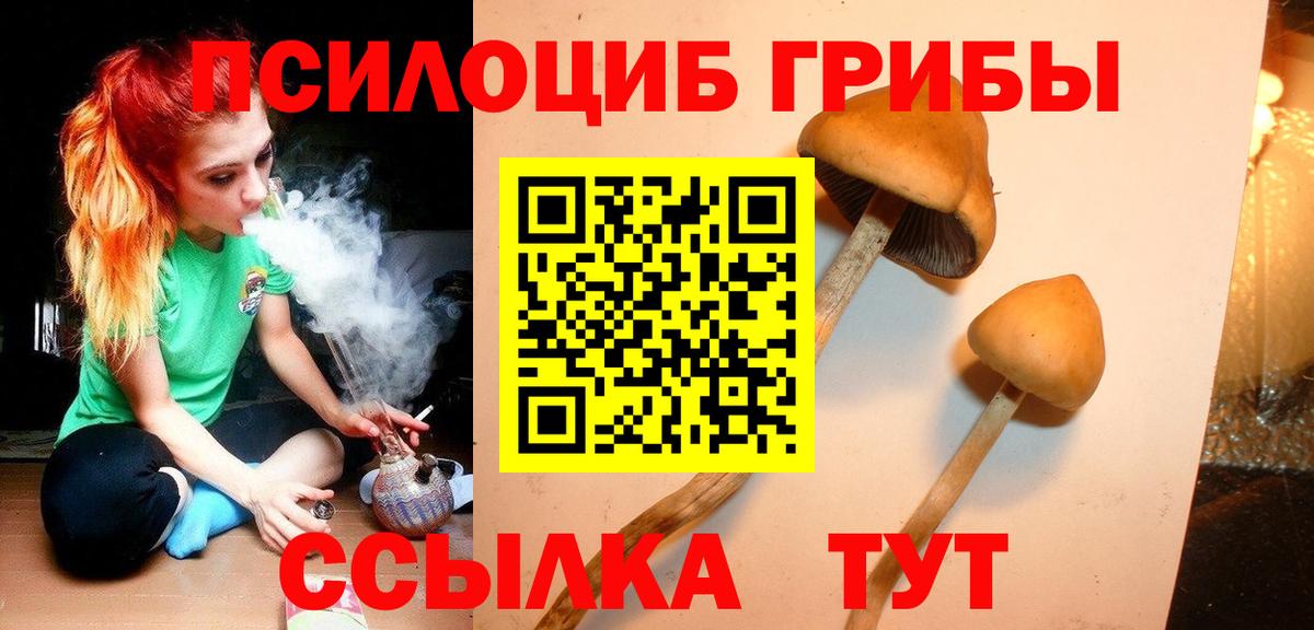 Зеленодольск  Галлюциногенные грибы MAGIC MUSHROOMS  где можно купить наркотик  Галлюциногенные грибы GOLDEN TEACHER  Вход с VPN 